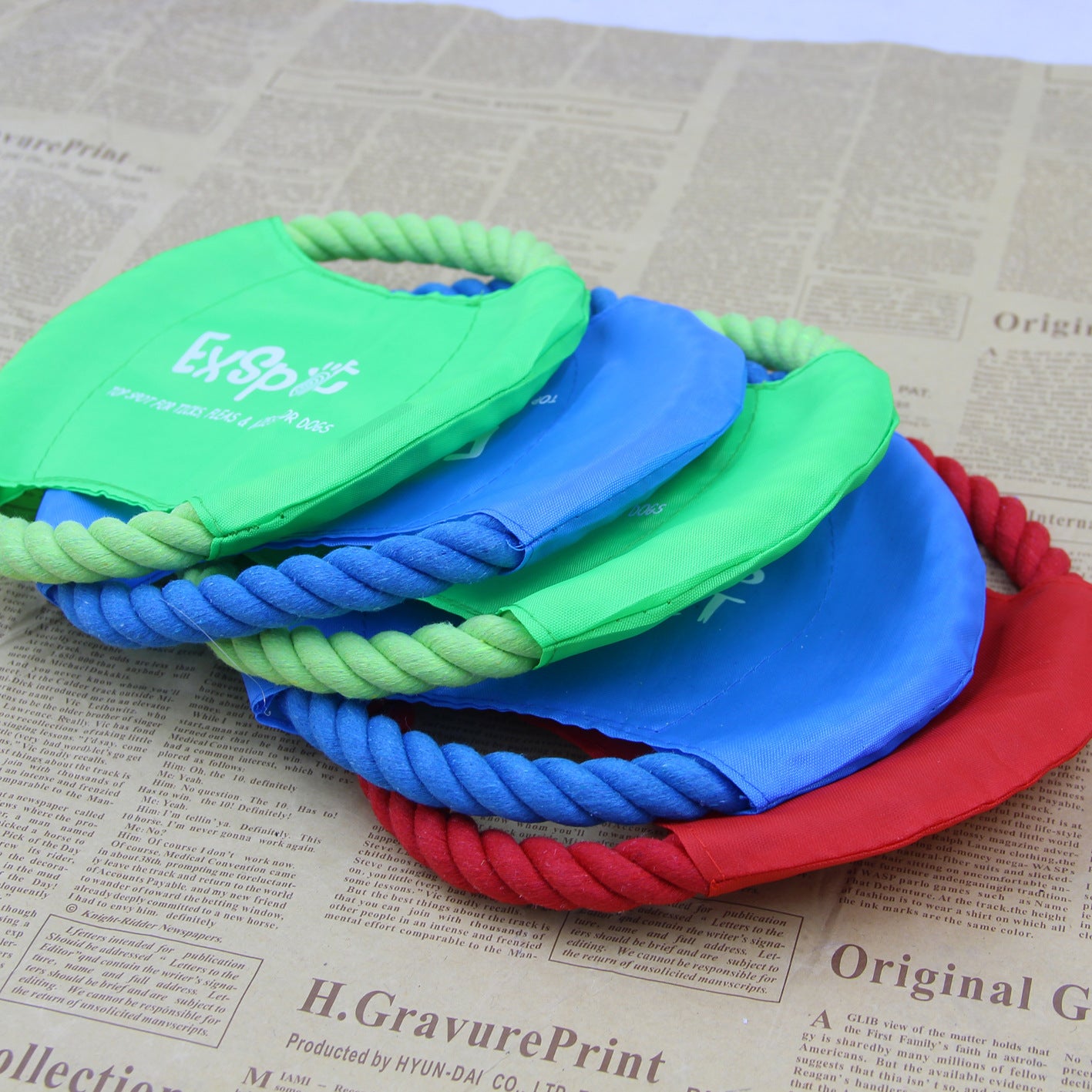 Frisbee voor Labradoodle & Cockapoo