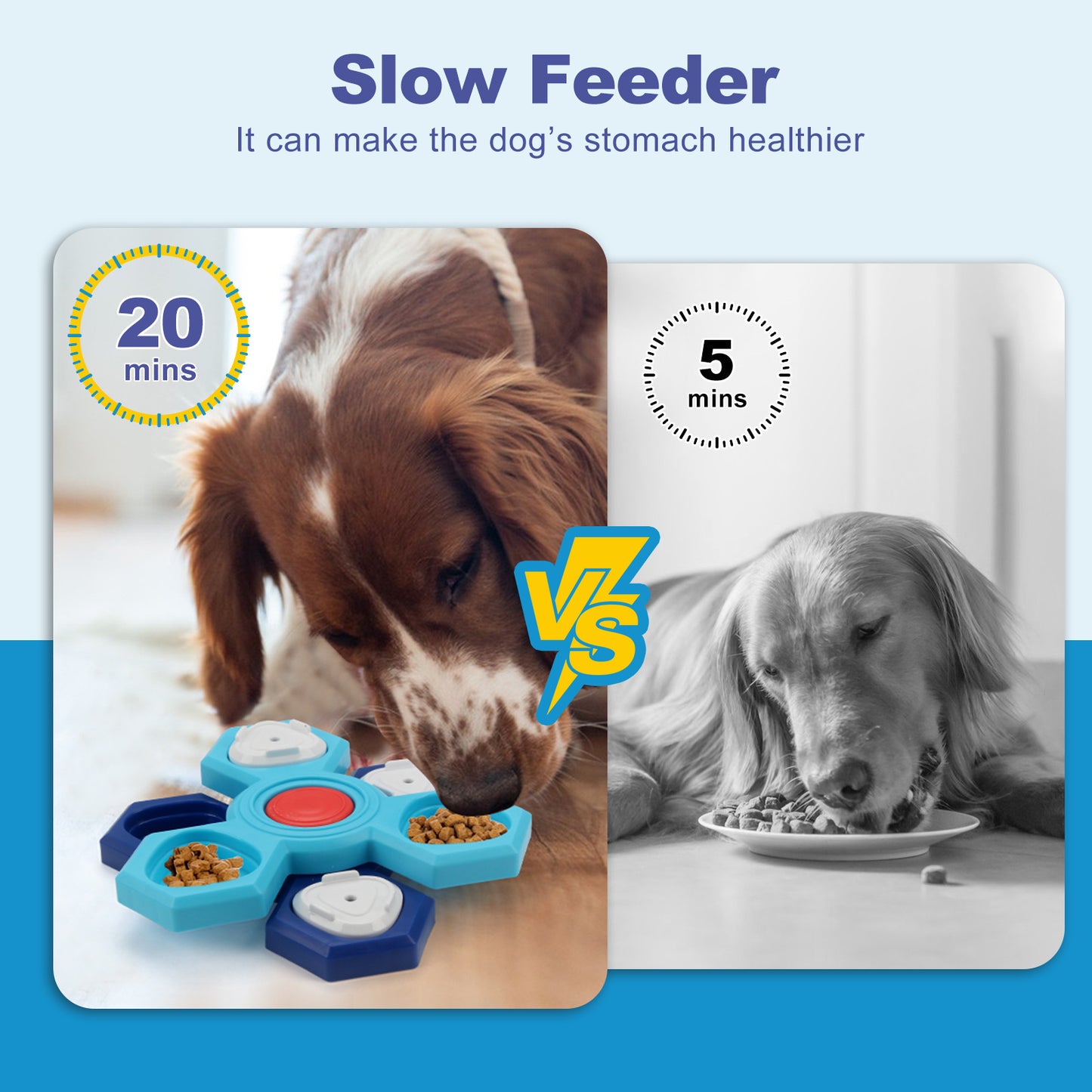 Puzzelbak voor Labradoodle & Cockapoo — 4 lagen