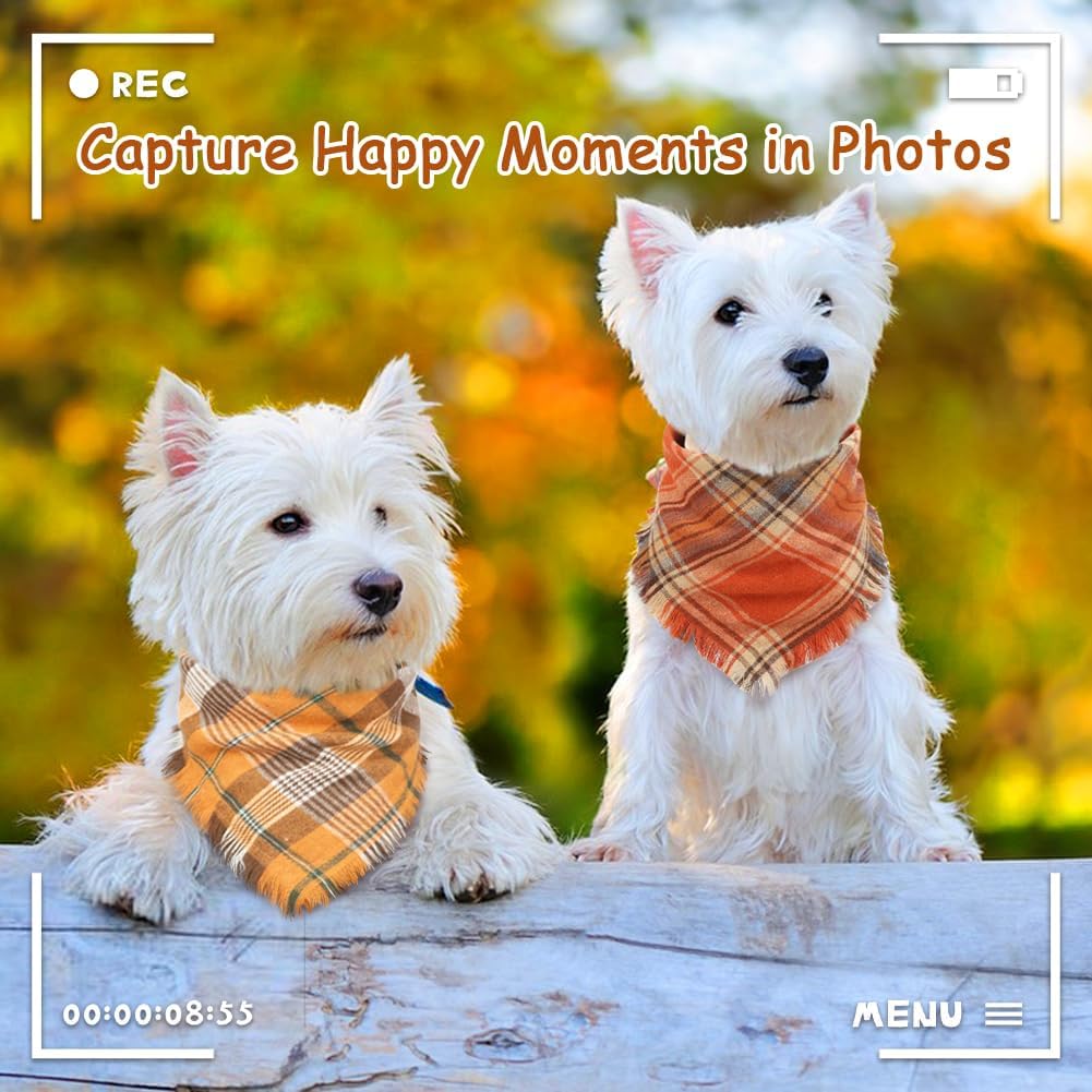 Bandana voor Labradoodle & Cockapoo