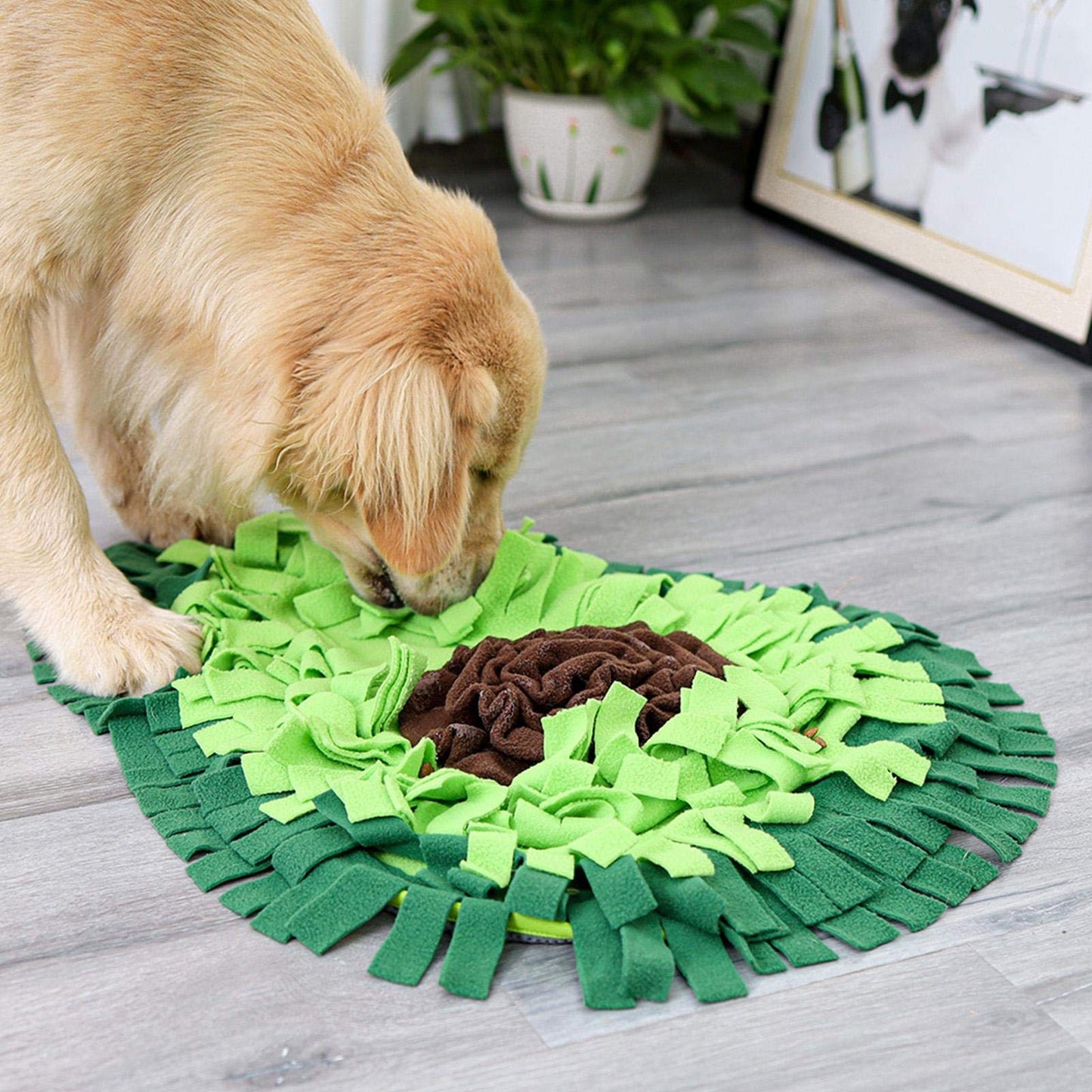 Snuffelmat voor Labradoodle & Cockapoo