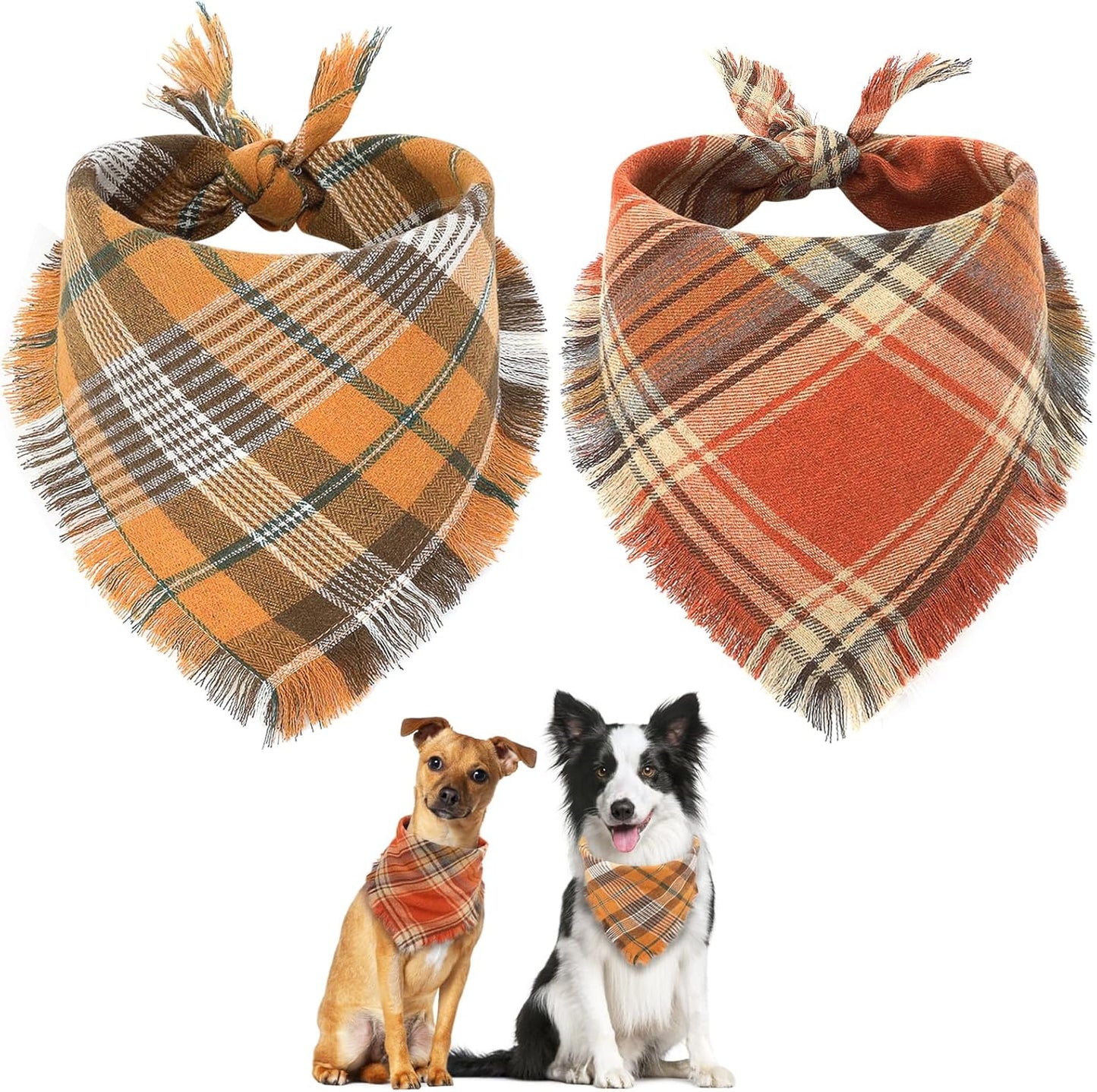 Bandana voor Labradoodle & Cockapoo