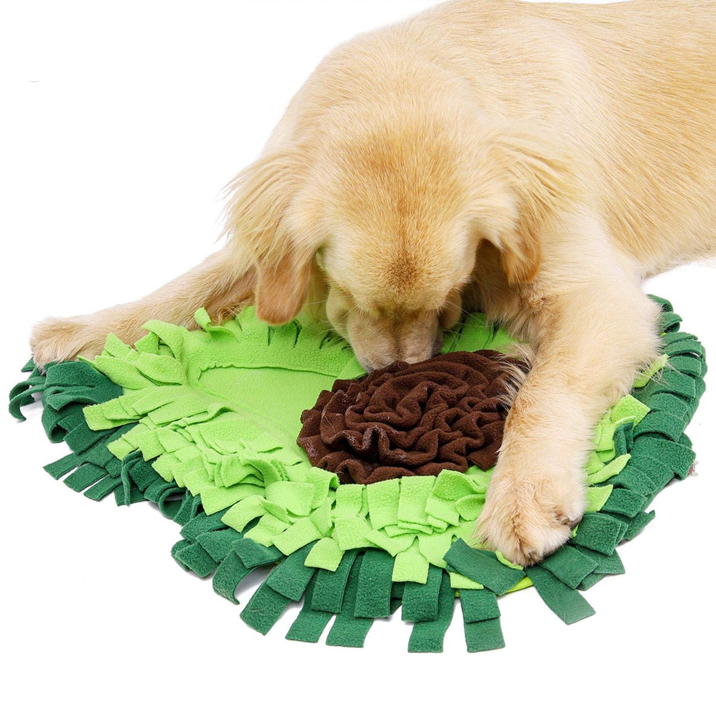 Snuffelmat voor Labradoodle & Cockapoo