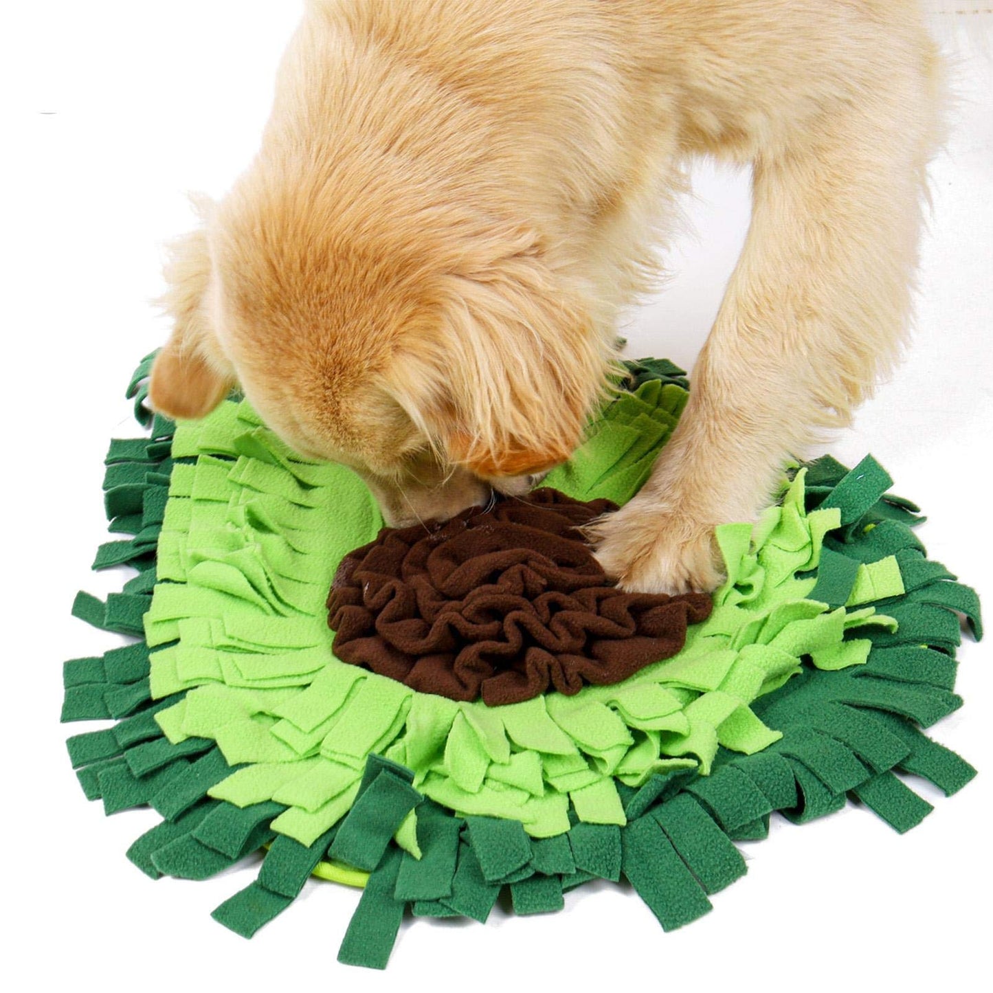 Snuffelmat voor Labradoodle & Cockapoo
