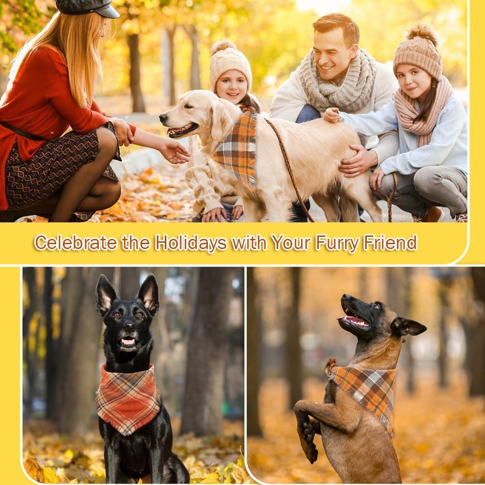 Bandana voor Labradoodle & Cockapoo